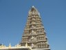 IMG_0087.JPG - 
